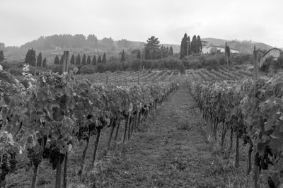 120919_1969 (2).jpg