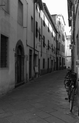 g13/04/318004/3/175781338.913220ec.JPEG