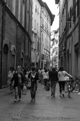 g13/04/318004/3/175781418.c6e18c1a.JPEG