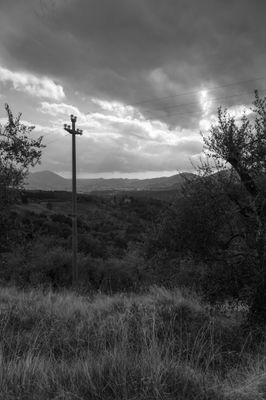 g13/04/318004/3/175781461.c5544c2e.JPEG