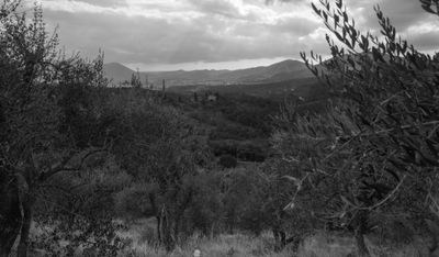 g13/04/318004/3/175781462.2a4437c3.JPEG