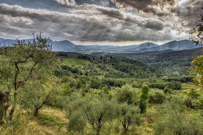 120922_3726_27_28_29_30-Edit.jpg