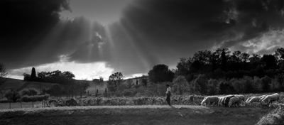 120923_4007-Edit-Edit.jpg