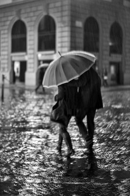 Rainy Night