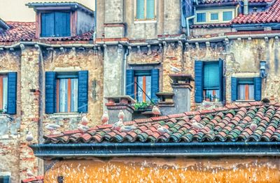 53700_00101-Edit.jpg