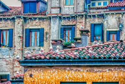 53700_00102-Edit.jpg