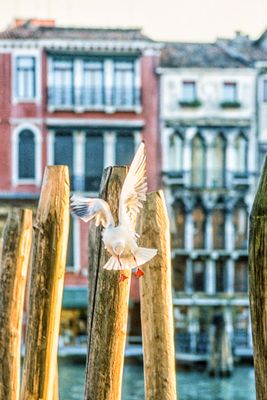 53700_00118-Edit.jpg