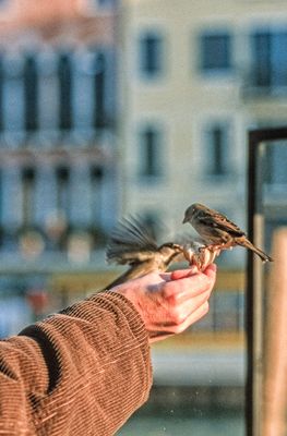 53700_00119-Edit.jpg