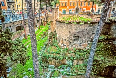 53726_00119-Edit.jpg