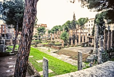 53726_00120-Edit.jpg
