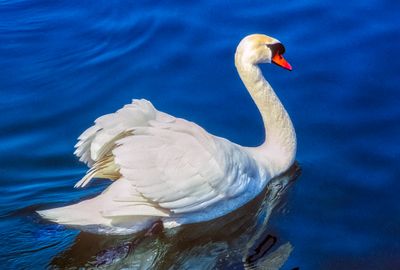 56700_00106-Edit.jpg