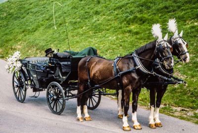 56700_00510.jpg