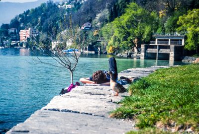 Nap with Ducks