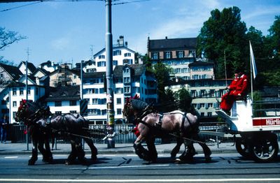 56700_00706.jpg