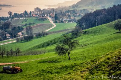 56701_00104-Edit.jpg