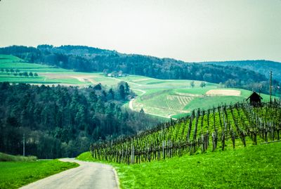 56701_00111.jpg