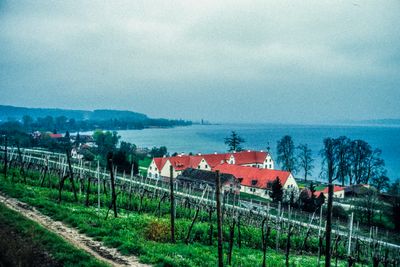 56701_00114.jpg