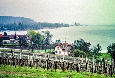 56701_00115.jpg