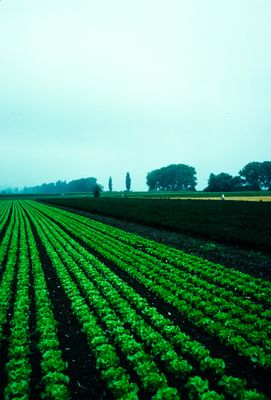 56701_00116.jpg