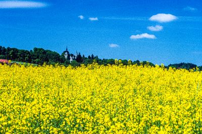 56701_00119.jpg