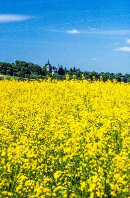 56701_00120.jpg