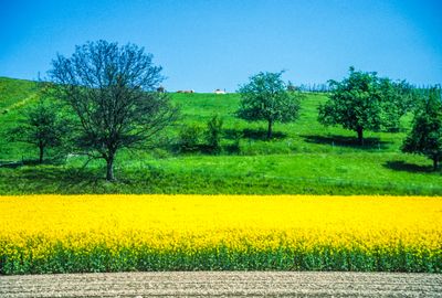 56701_00210.jpg