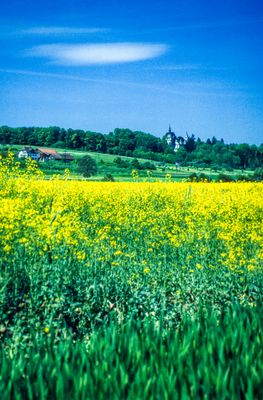 56701_00212.jpg