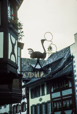 56703_00319.jpg