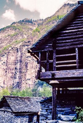 56703_00323.jpg