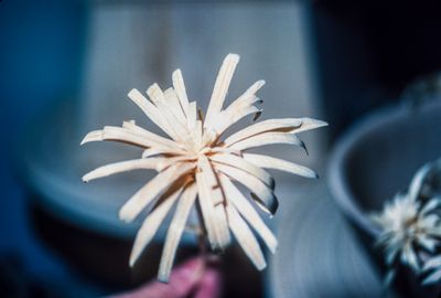 56704_00215.jpg