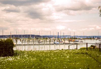 56707_00209.jpg