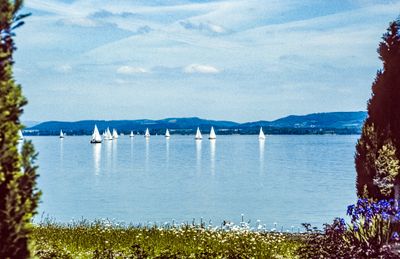 56707_00229.jpg