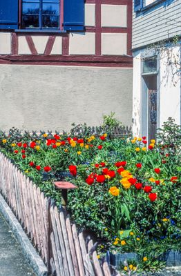 56721_00104.jpg