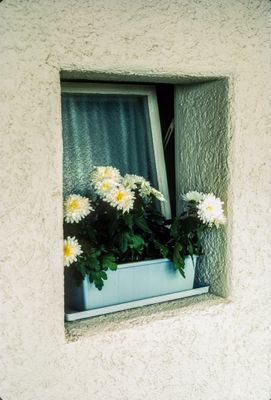 56721_00105.jpg