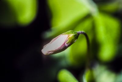 56721_00206.jpg