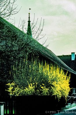 56721_00311-Edit.jpg