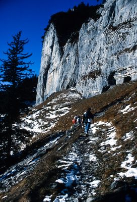 56725_00316.jpg