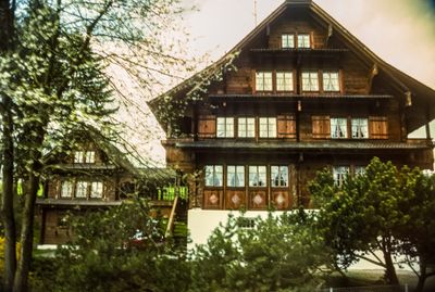 56729_00119.jpg