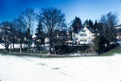 56729_00306.jpg