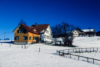 56729_00309.jpg