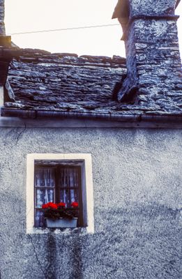 56729_00317.jpg