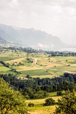 56735_00109.jpg