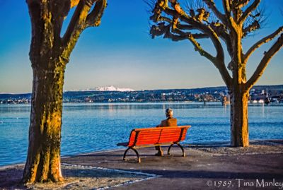 56735_00511-Edit.jpg