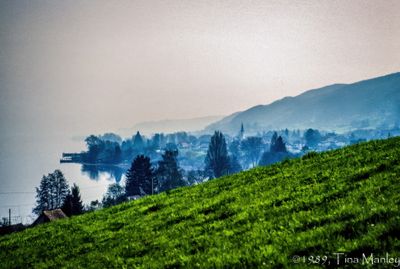 56735_00611.jpg