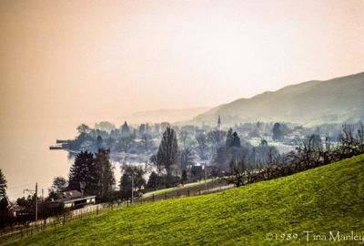 56735_00612.jpg