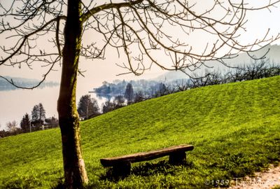 56735_00615-Edit.jpg