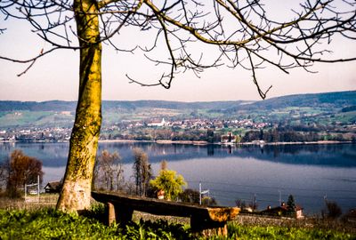 56735_00616.jpg