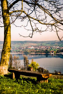 56735_00617.jpg
