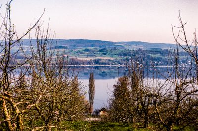 56735_00619.jpg