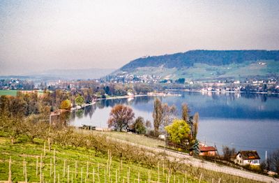 56735_00703.jpg